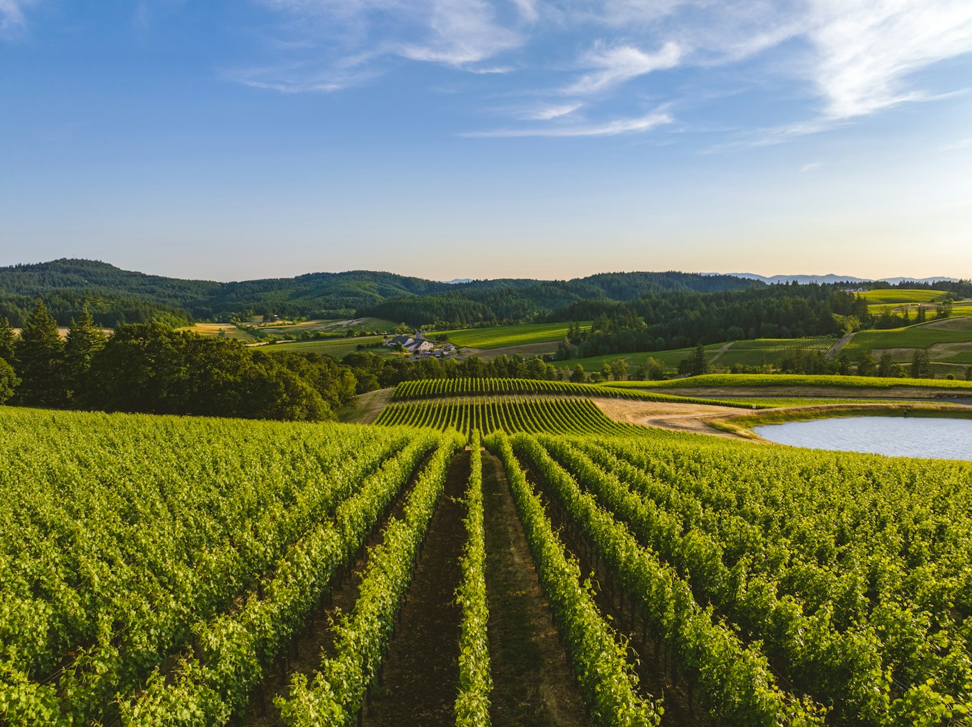Aerial view of a Rogue Valley vineyard and farmland in Southern Oregon